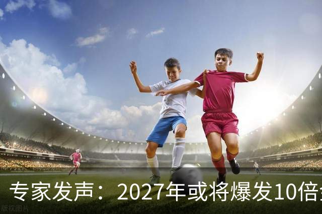 专家发声：2027年或将爆发10倍金融危机 人们抛资产是自救还是踩